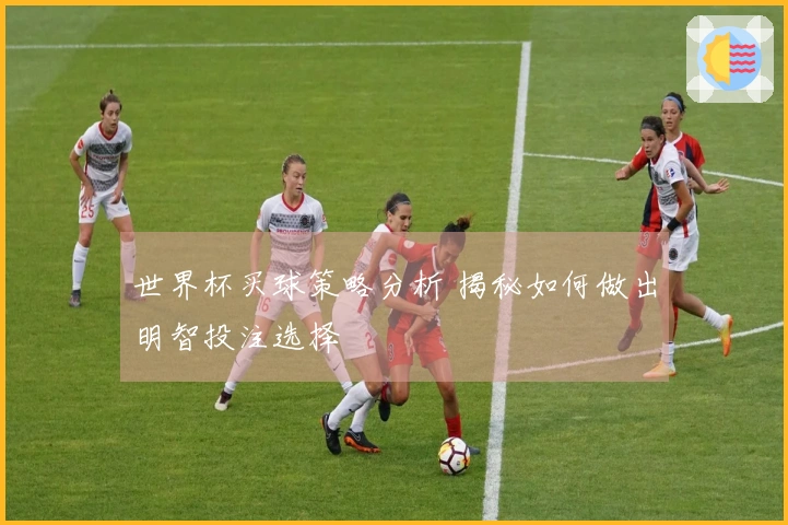 世界杯买球策略分析 揭秘如何做出明智投注选择