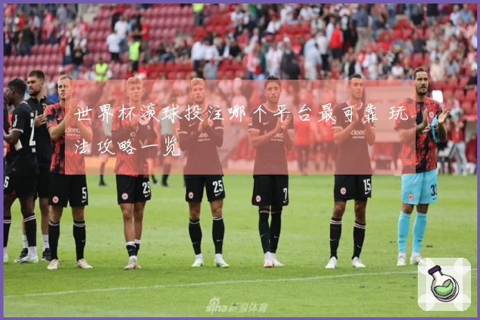 世界杯滚球投注哪个平台最可靠 玩法攻略一览