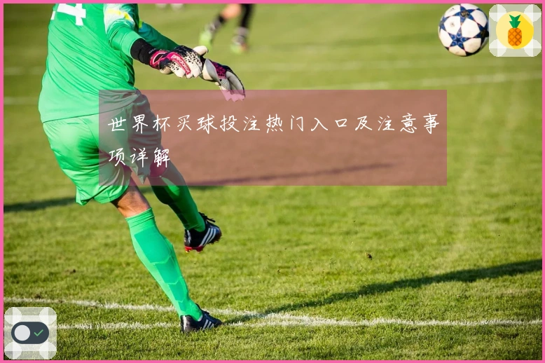 世界杯买球投注热门入口及注意事项详解