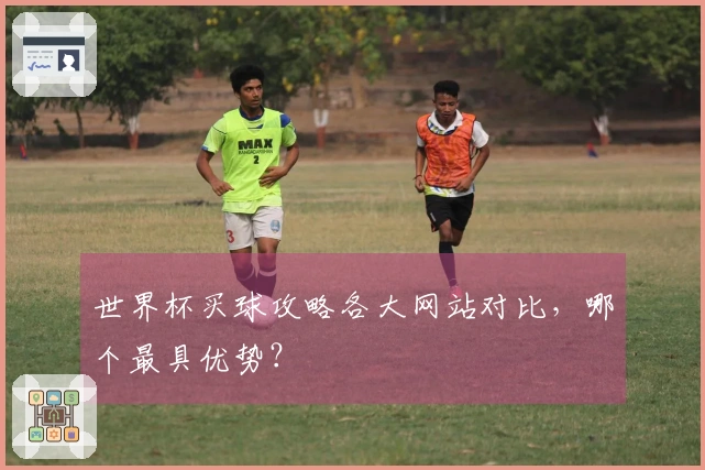 世界杯买球攻略各大网站对比，哪个最具优势？