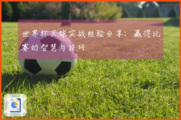 世界杯买球实战经验分享：赢得比赛的智慧与技巧