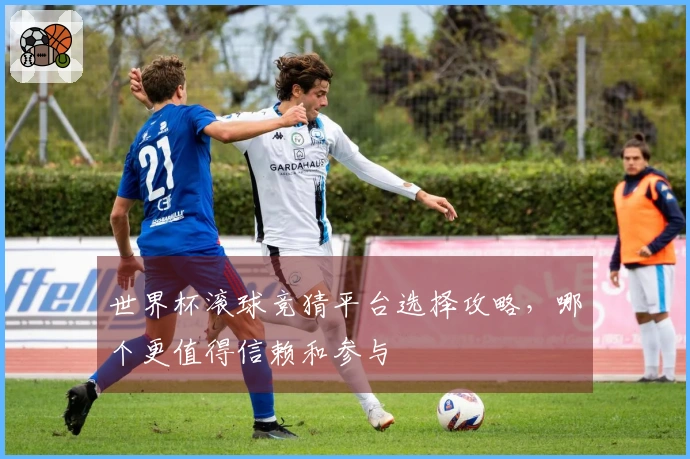 世界杯滚球竞猜平台选择攻略，哪个更值得信赖和参与