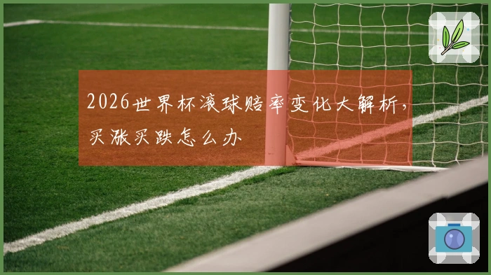 2026世界杯滚球赔率变化大解析，买涨买跌怎么办