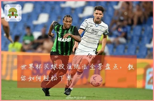 世界杯买球投注玩法全景盘点，教你如何轻松下单