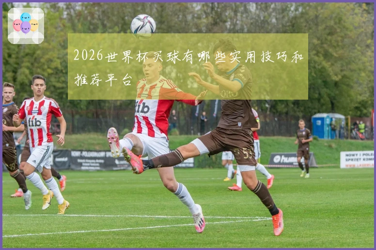 2026世界杯买球有哪些实用技巧和推荐平台