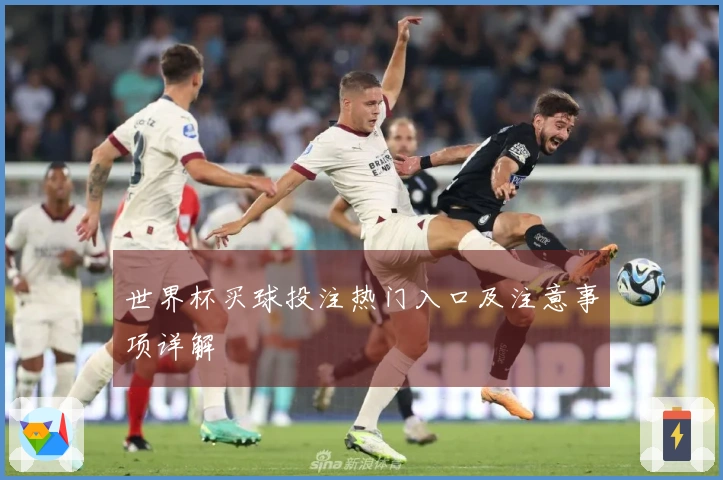 世界杯买球投注热门入口及注意事项详解