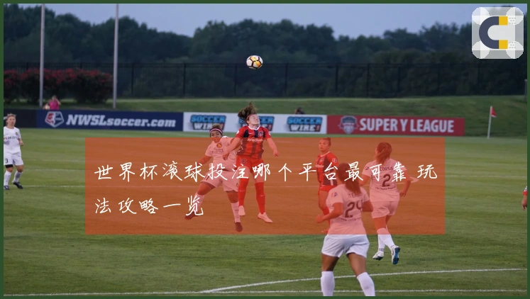 世界杯滚球投注哪个平台最可靠 玩法攻略一览