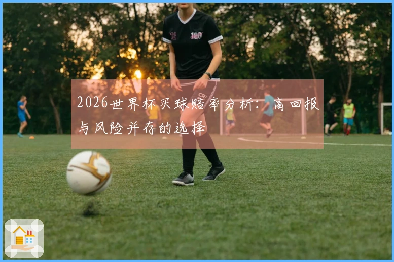2026世界杯买球赔率分析：高回报与风险并存的选择