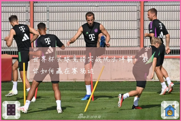 世界杯买球竞猜实战玩法详解，教你如何赢在赛场边