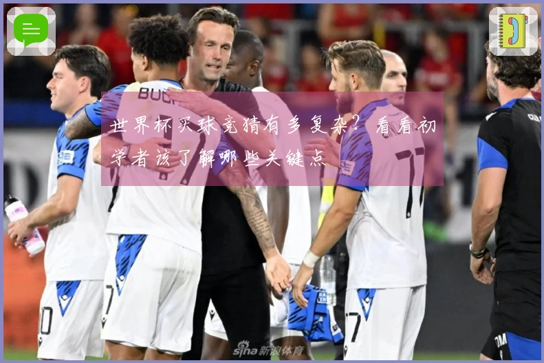 世界杯买球竞猜有多复杂？看看初学者该了解哪些关键点