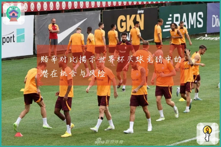 赔率对比揭示世界杯买球竞猜中的潜在机会与风险