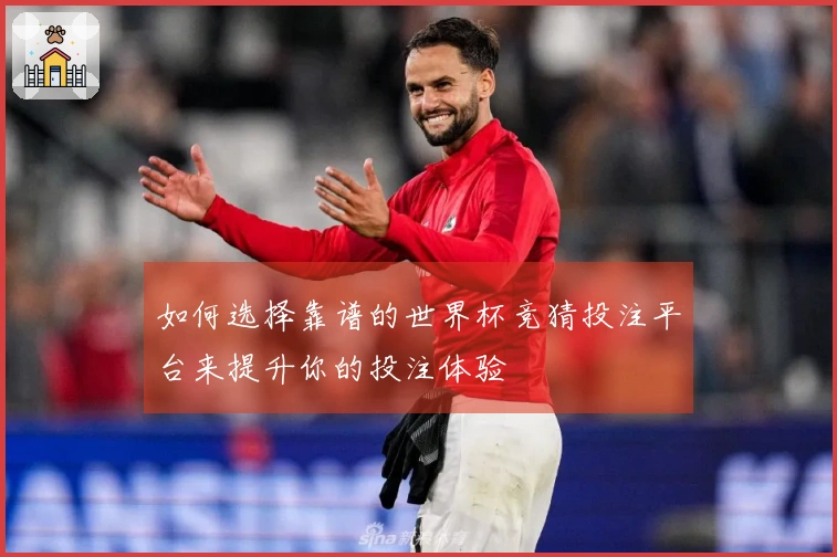 如何选择靠谱的世界杯竞猜投注平台来提升你的投注体验